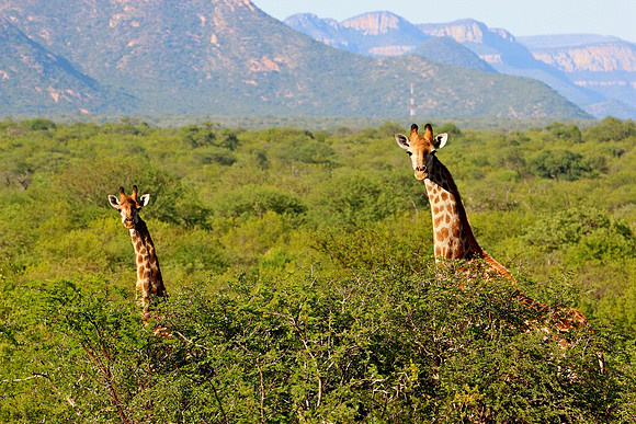 South Africa