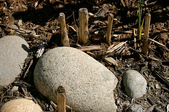 Rocks with Sticks