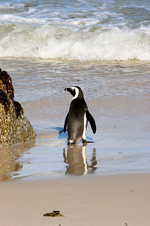 Western Cape, South Africa