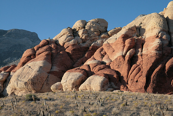 Las Vegas_7253