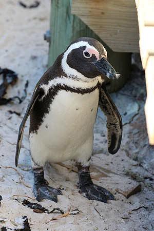 Western Cape, South Africa