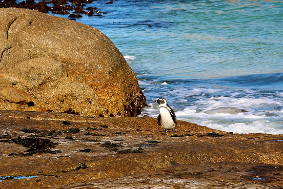 Western Cape, South Africa