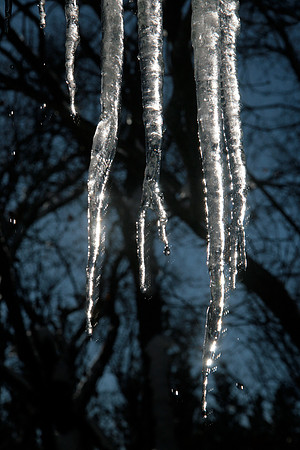 Winter in Grass Valley_8338