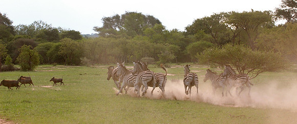 South Africa