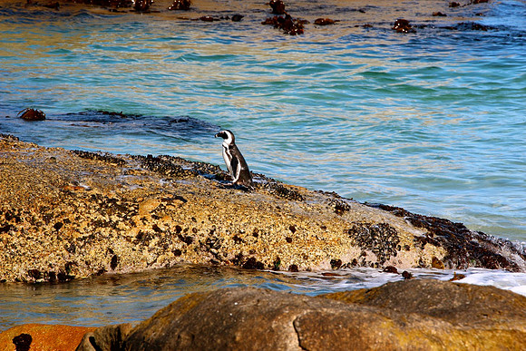 Western Cape, South Africa