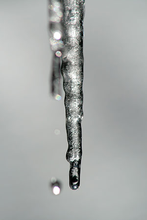 Winter in Grass Valley_8279