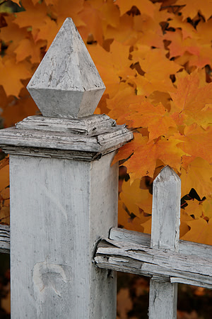 Autumn in Nevada City_8188