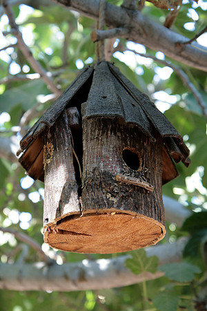 Bird House, Las Vegas_7053