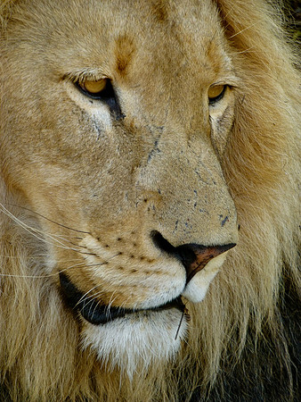 South Africa