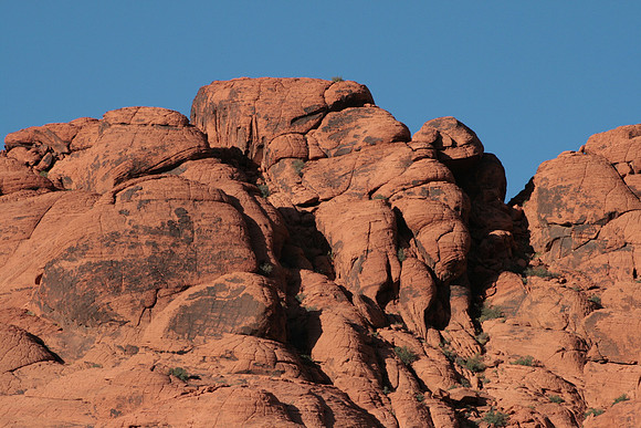 Las Vegas_7184