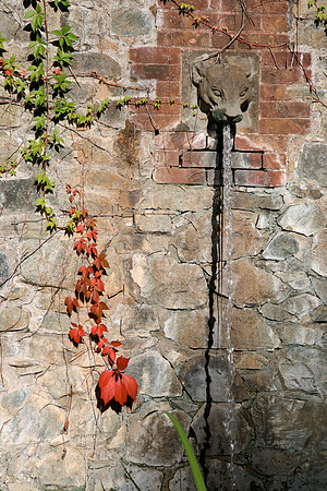 Empire Mine Lion Fountain