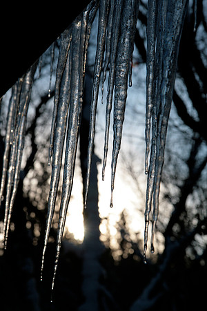 Winter in Grass Valley_8348